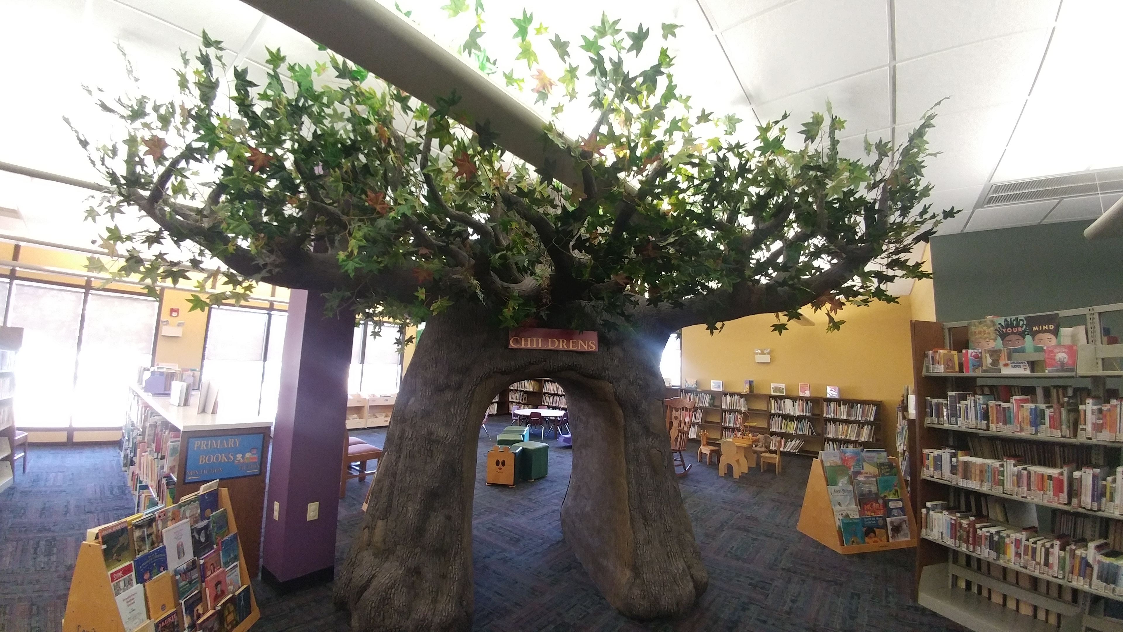 People reading in the teen area