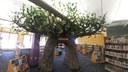 Children's Area Tree